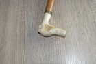 Canne ancienne Pommeau tête de chien