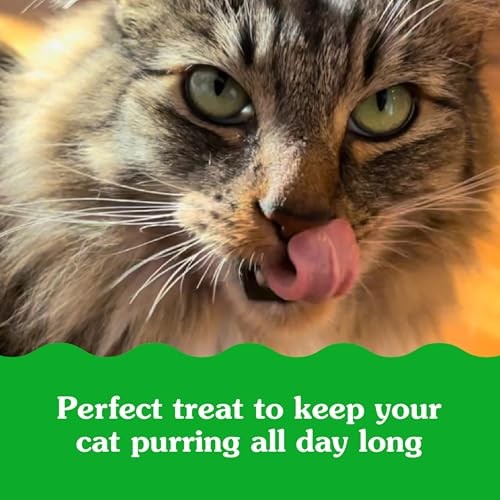 Feline Greenies Smartbites Salmon Treats for Cats Skin and Fur Care 1 Pound - Picture 11 of 13