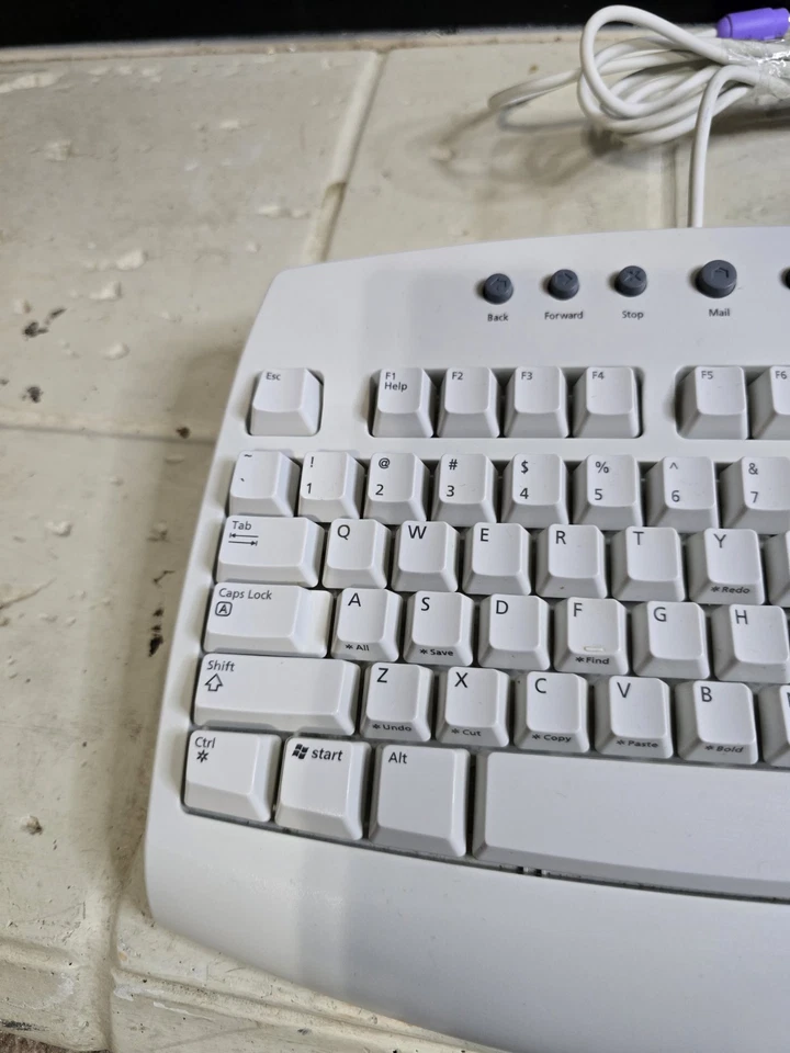 Vintage Working Microsoft Keyboard/ X08-08200 Untested - Image 4 of 4