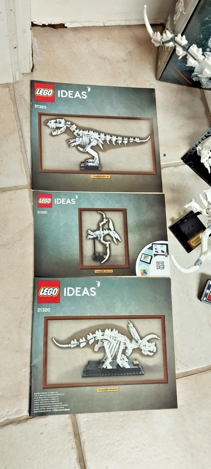 LEGO Ideas 21320 Dinosaur Fossils, foto 3 di 5