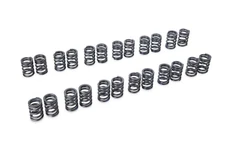 Tomei Valve Spring Set For Nissan Skyline RB20DET / 300ZX VG30DETT