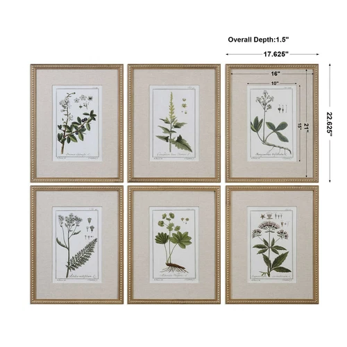 Botanical Study Leaf Berry Flower Wall Art Gold Frame Set Of 6 ~ Uttermost 33651 - Picture 11 of 11