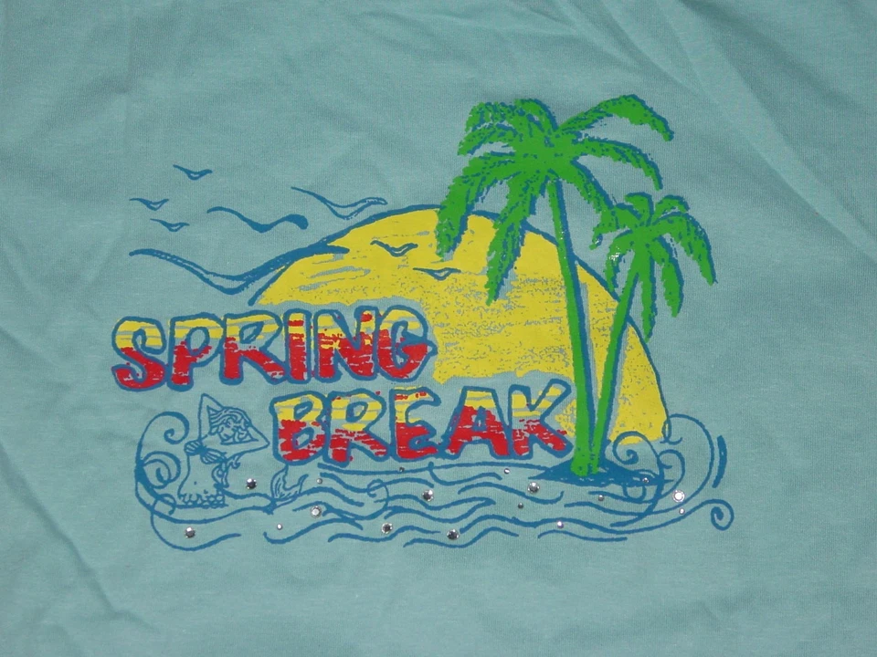 SPRING BREAK 大学派对 T 恤全新尺寸... 青少年小号 — 第 3/4 张图片