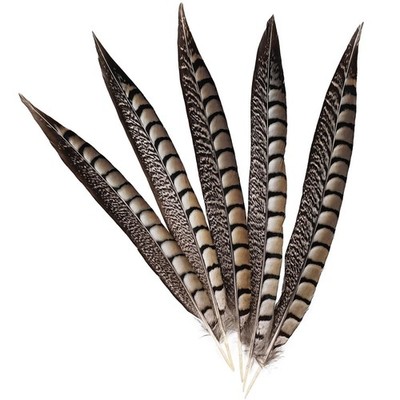 5 PCS Natural Pheasant Tail Feathers 12-14 Inch Crafts Home Decor DIY Wedding