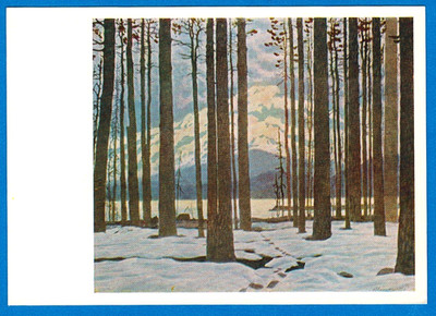 V.Sokolov 1965 Russian postcard KAMCHATKA FOREST WINTER TIME