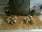 Picture 6 of 9