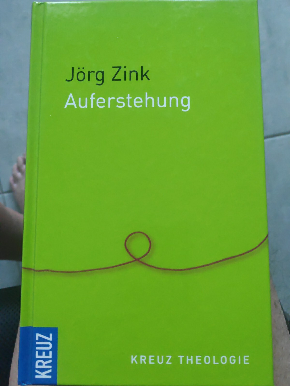 Auferstehung: Am Ende ein Gehen ins Licht von Jörg ... | Buch |