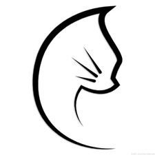 Cat Kitten - Decal Sticker - Multiple Colors Sizes - ebn6917