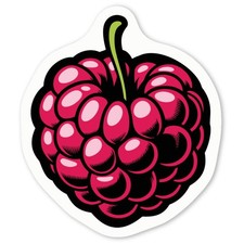 Aufkleber Sticker "Reife Himbeere" (DW048892)