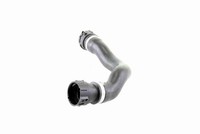 Lagerung AchskÖRper Hinten Vaico V25 9522 FÜR Ford Mazda