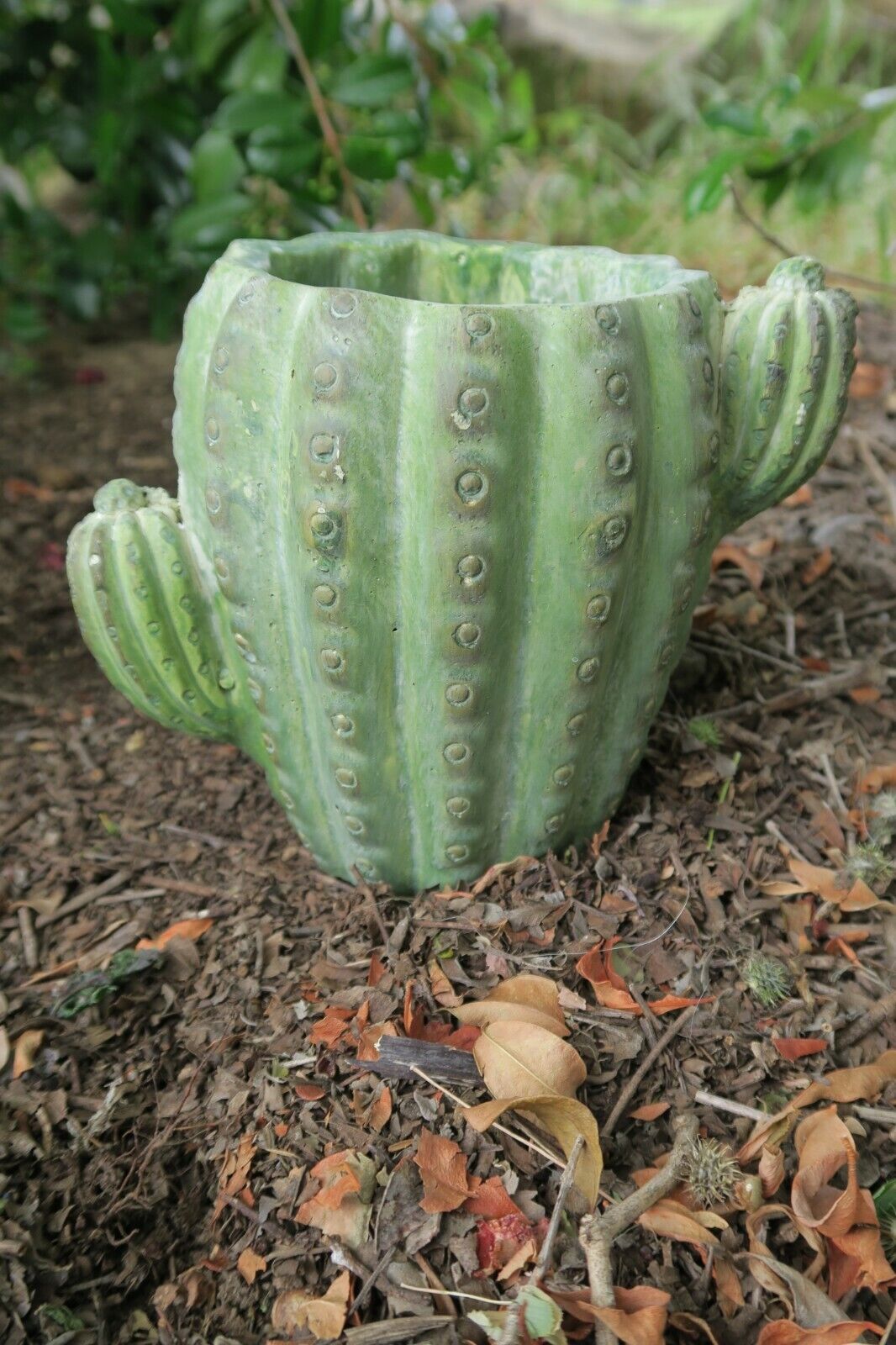 Picture 5 of 6