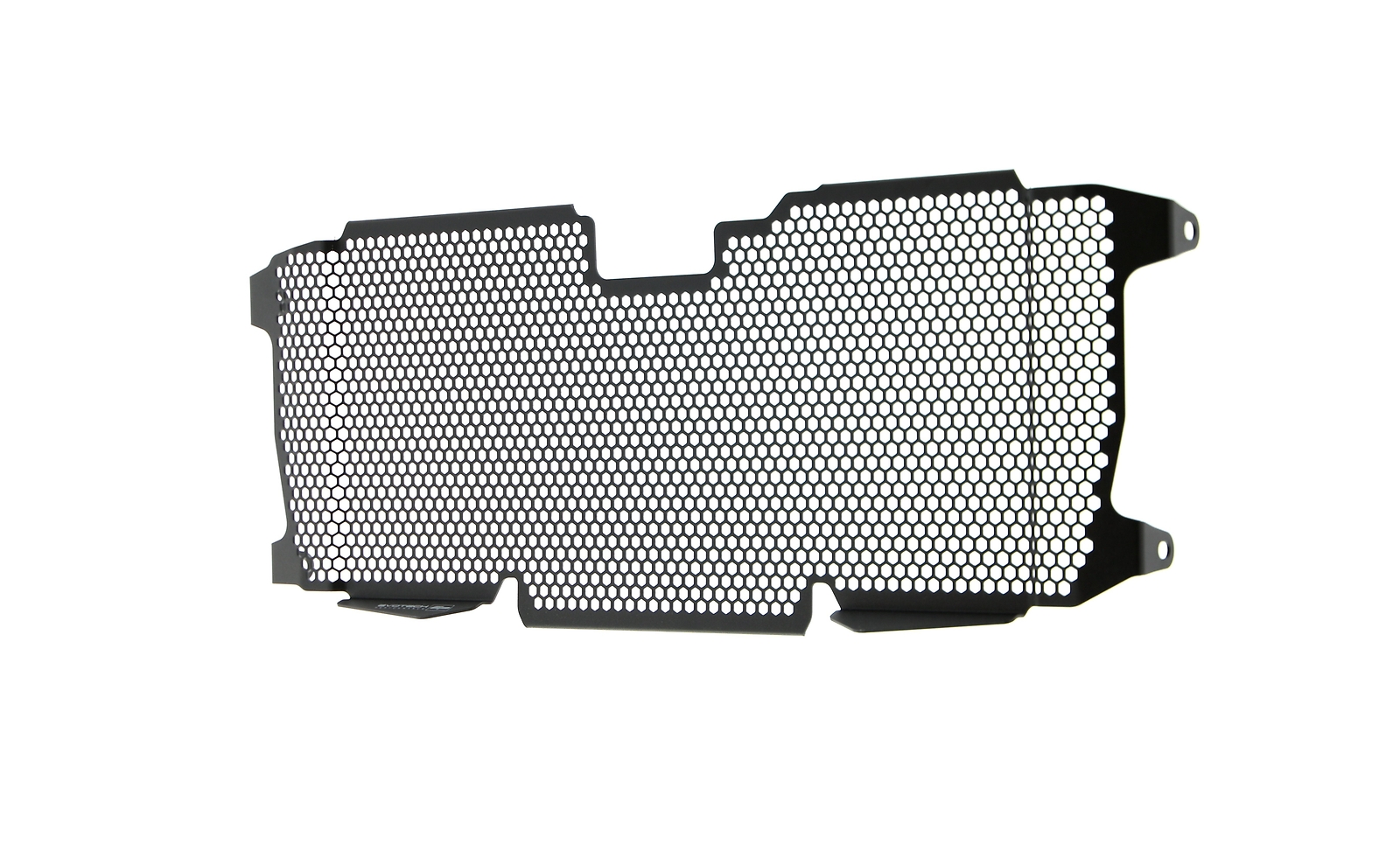 Evotech Radiator Guard - BMW R 1250 RS (2019 - 2021)