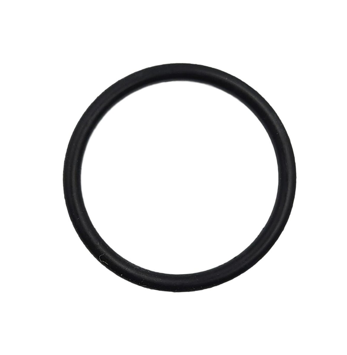 OEM PACCAR O-RING, 25X2 1982774PE | eBay