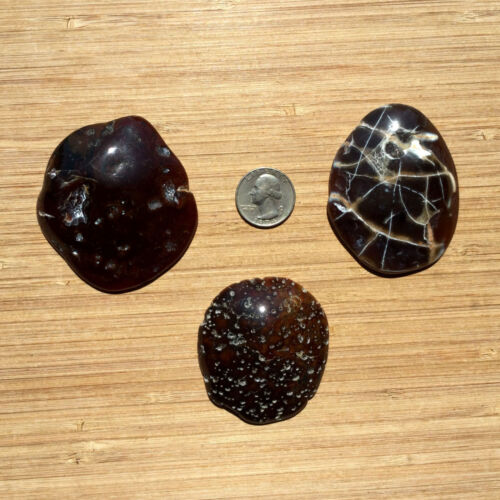3 rebanadas de geoda piedras de exhibición de cristal de ágata marrón pulido corte final rocas naturales - Imagen 3 de 6
