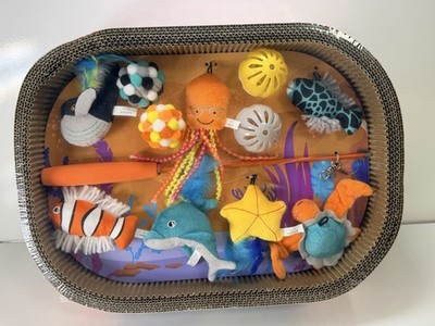 Buddy Buddy Cat Scratcher Orange Bed Plush Toys 13-Piece Retractable Wand Balls