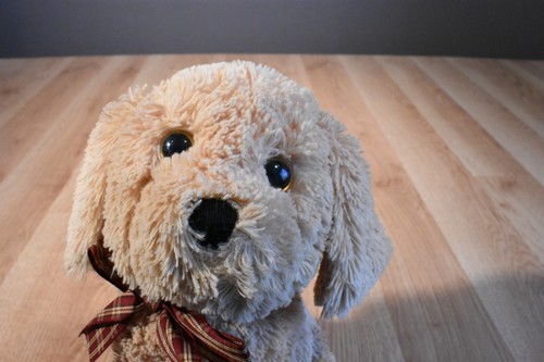 Ty Classic Tan Dog Goldwyn 2009 Beanbag Plush(310-1756-1) - Picture 8 of 8