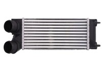Thermotec DAC013TT LadeluftküHler TurboküHler FüR Ds 4 5 Citroen C4 Grand