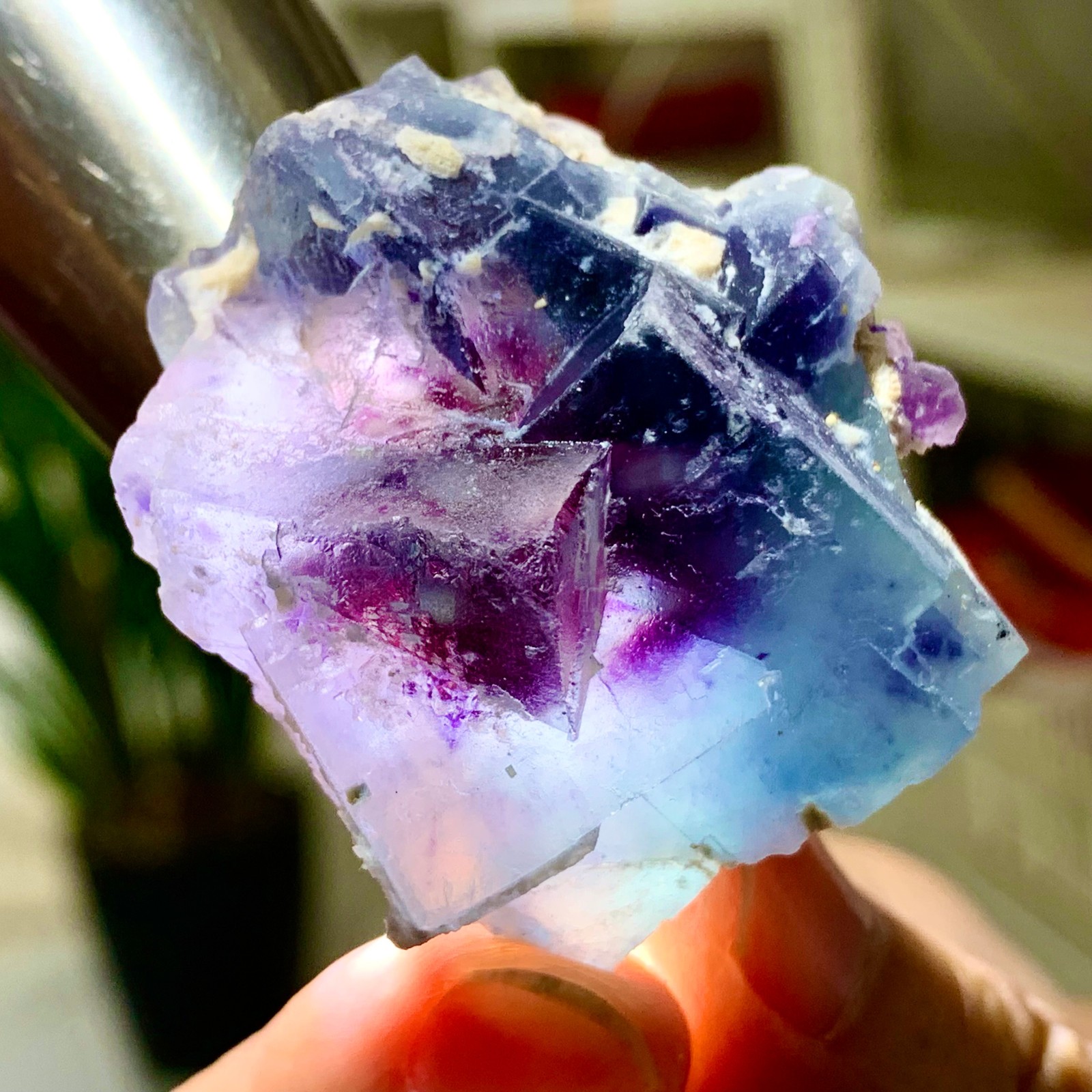 Natural Fluorite Crystal Sample in Purple Blue Green Cubic Form 434G