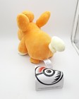 Foto 3 di 3