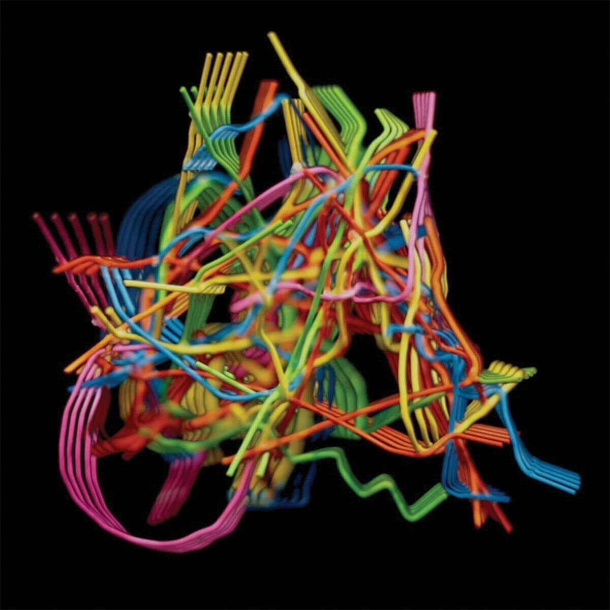 Dustin Wong Perpetual Morphosis (CD) Album