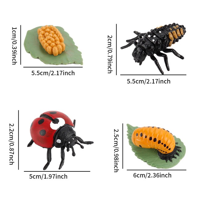 Insect Figurine Crocodile Simulation Life Cycle Animal Vivid For Kids Insect Figurine Crocodile Simulation Life Cycle Animal Vivid For Kids