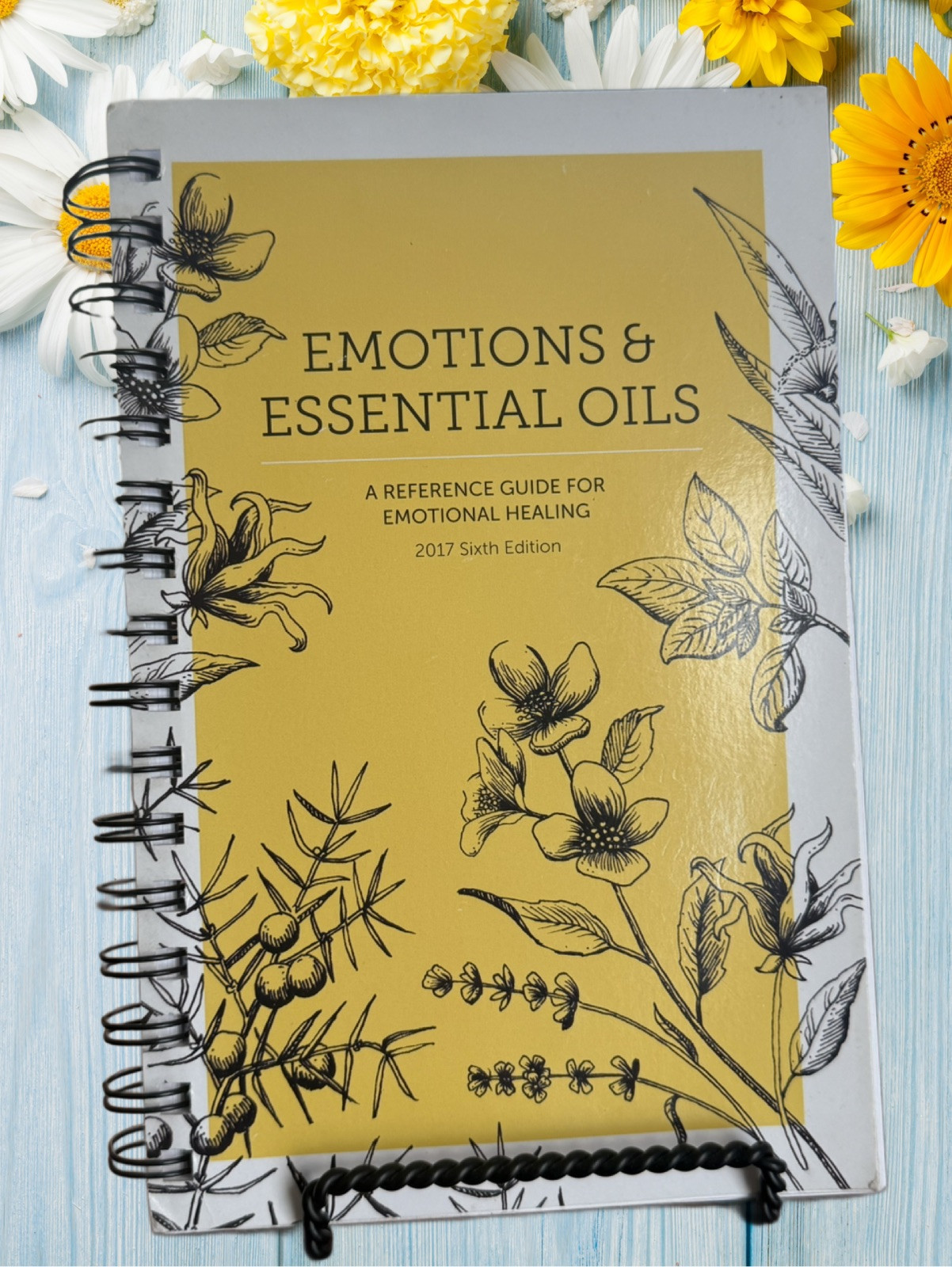 S Reference  Guide For Emotional Healing 2017 6th Ed