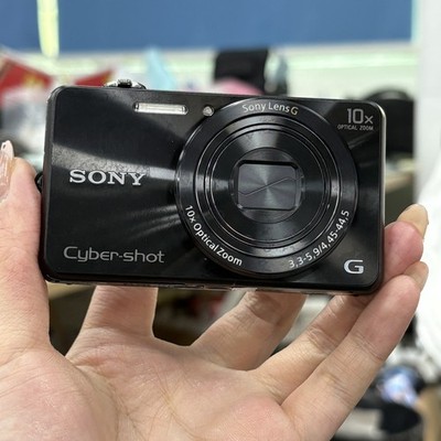 Sony Cyber-Shot DSC-WX220 18.2 MP Digital Camera 10X Zoom Black