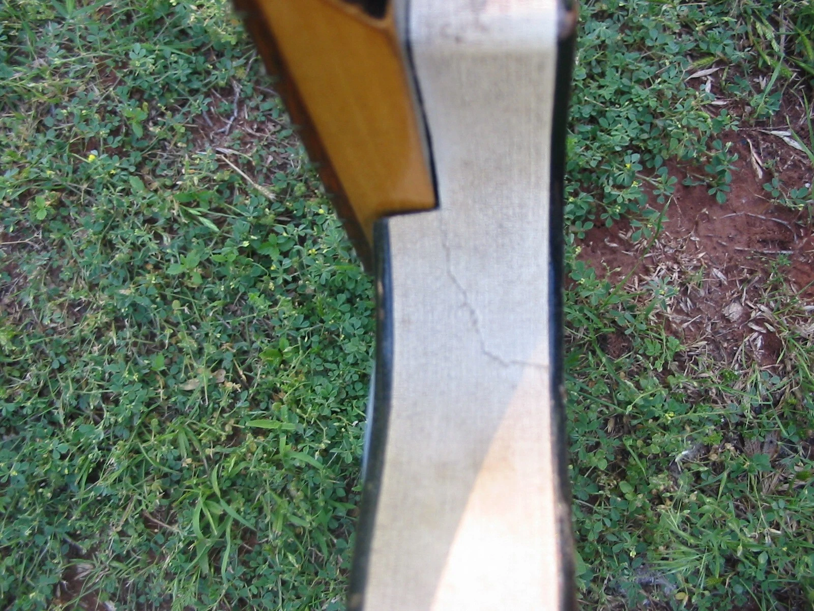 Picture 11 of 12