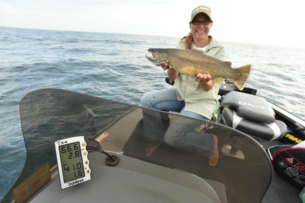 Fish Hawk X4 Downrigger Data System eBay