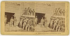 FLORIDA SV - African Americans at Cotton Gin - Kilburn c1879