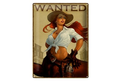 Ontrada Blechschild 30x40cm gewölbt Pinup wanted Cowgirl Schild