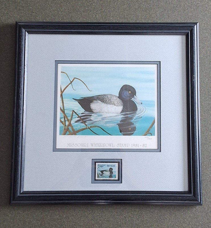19981-82 Missouri Waterfowl Stamp & Print of Lesser Scaup By Tom Crain