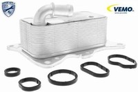 Vemo V30-60-0007 ÖLküHler FüR MotoröL