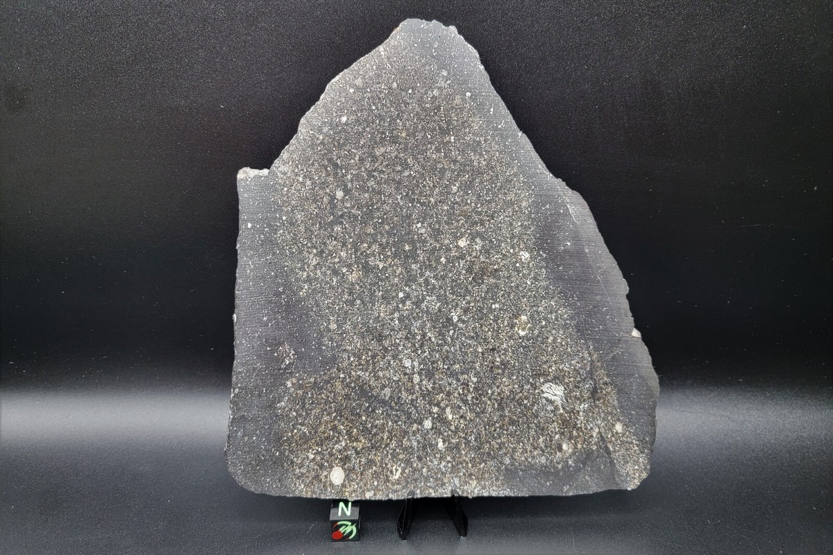 NWA 14460 (244g) L4 Meteorite Partial Slice, Dual lithology, IMCA