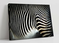 ZEBRA 1 LARGE CANVAS WALL ART FLOAT EFFECT/FRAME/PICTURE/POSTER PRINT-BLACK