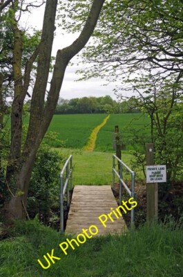 Foto 6x4 Der Weg zum Heugrün Heugrün\/TL6000 Kein Zweifel wo die c2015
