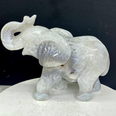2.18LB Natural agate geode quartz crystal engrave Elephant skull healing gift de