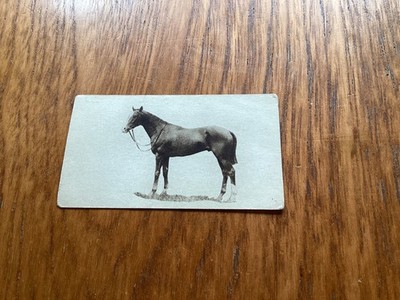 Sandorides Lucana FAMOUS RACEHORSES - No 6 CAPTAIN CUTTLE -