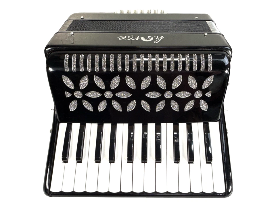 Acordeón Caballo 25 Teclas, Acordeón Piano Estudiante 16 Bajo Foto 2 de 4