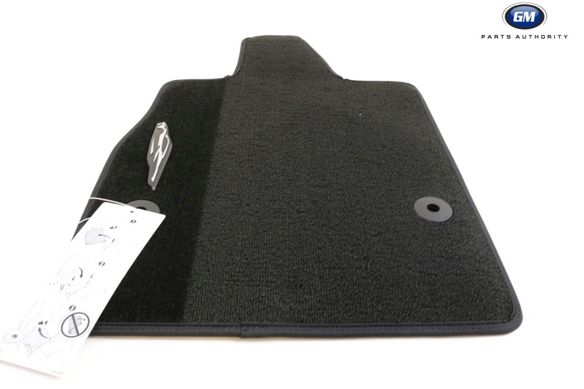 ガーマルちば@プロフ gasmaria.jpg