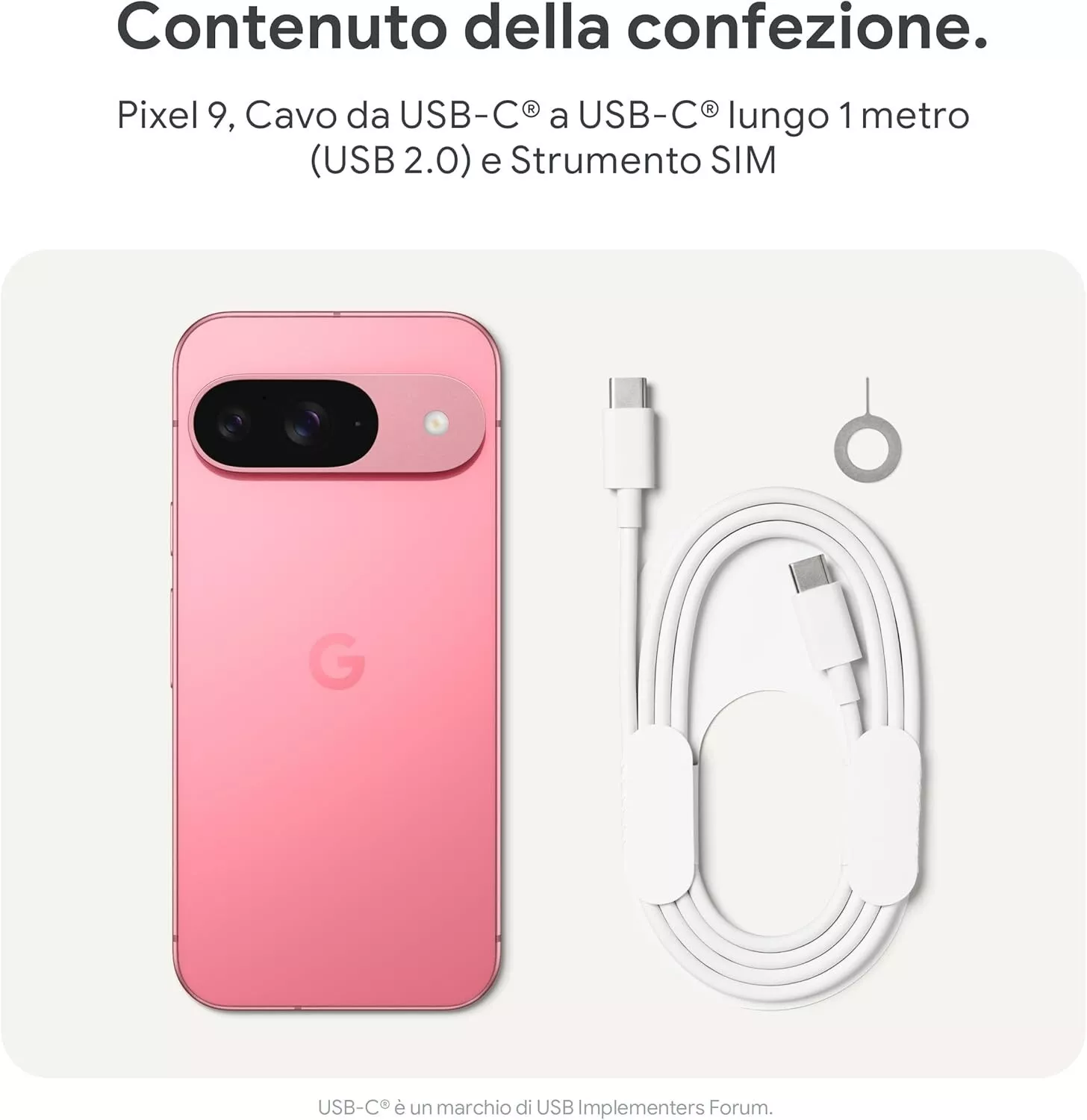 Foto 13 di 13