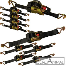 Automatik Zurrgurt Spanngurt automatischer Ratschengurt mit Aufrollfunktion