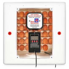 Farm Innovators 4250 Digital Circulated Air Incubator, w/Auto Egg Turner, White