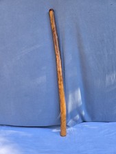 Australian, Termite-Hollowed, 63.5" Didgeridoo in the Key of B Didg-35 