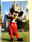 Vintage Lot Of 17 Walt Disney World & Epcot Postcards Collector 1982 Unused — photo 7