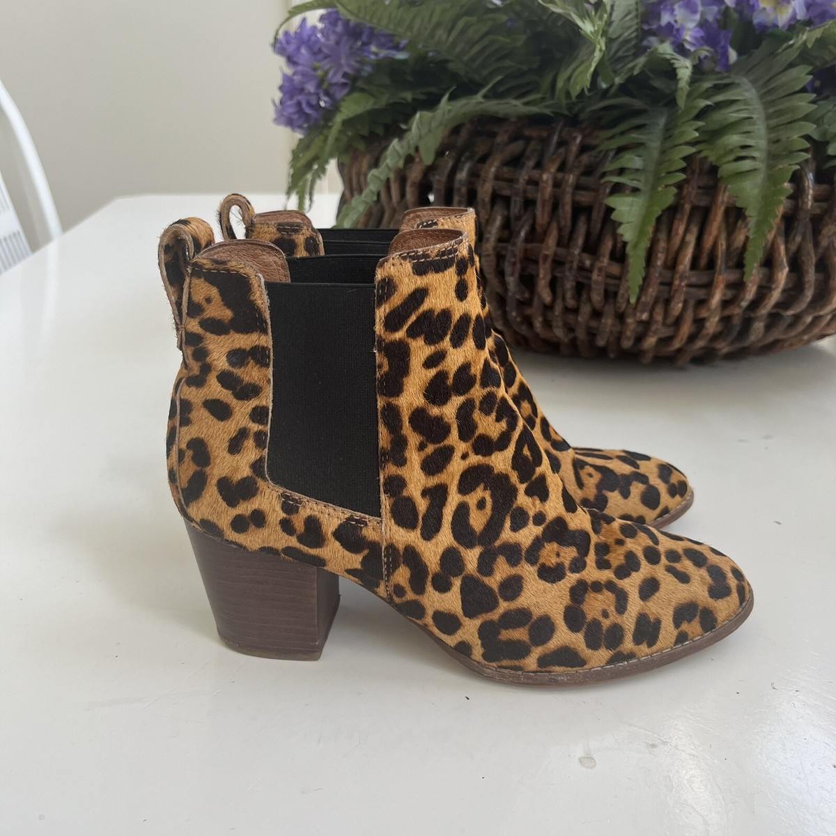 Madewell Boots Regan Womens Leopard Print Calf Hair Chelsea Ankle  Booties