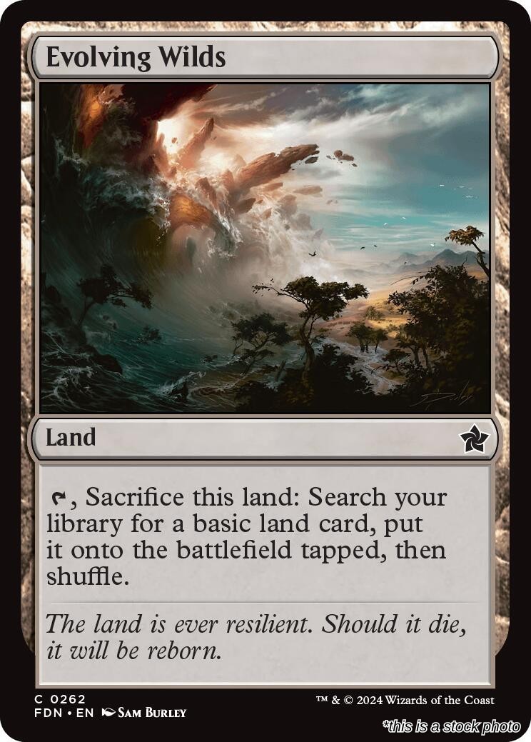 Evolving Wilds FDN 262 MTG Foundations Common EN NM