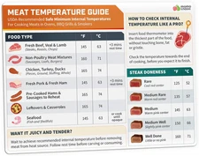 Meat Temperature Chart Magnet - Grilling Accessories - Chicken, Turkey, Beef, St