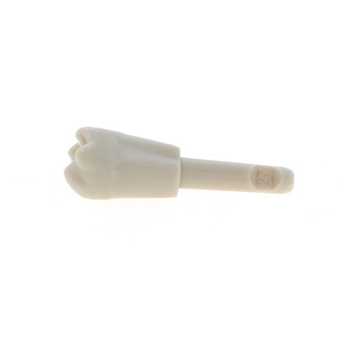 Modelo de Diente Dental con 32 Piezas Ajuste KaVo Modelo Básico Mecanismo de Retención de Dientes - Imagen 88 de 126