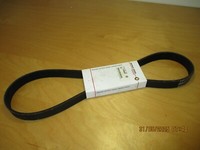Detroit Diesel Dayco 23503020 Belt Keilriemen Neu